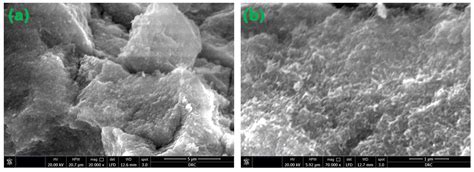 Novel Magnetite (Fe3O4)-Methylcellulose Nanocomposites Synthesized ...
