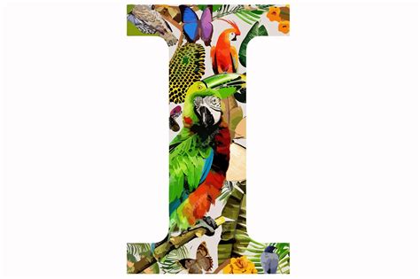 Letter I Animal ABC Single Clipart Isolated on White Background | Premium AI-generated vector