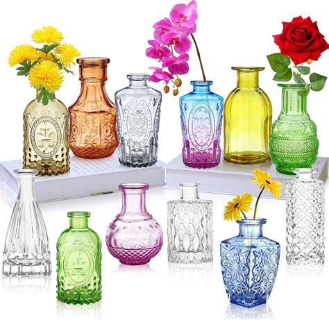 [Gift Set] Glass Bud Vases Set of 12,Small Vases for Flowers,Coloured ...
