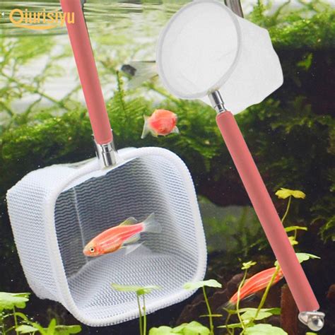 Extendable Shrimp Catching Net For Shrimp and Small Fish With Stainles ...