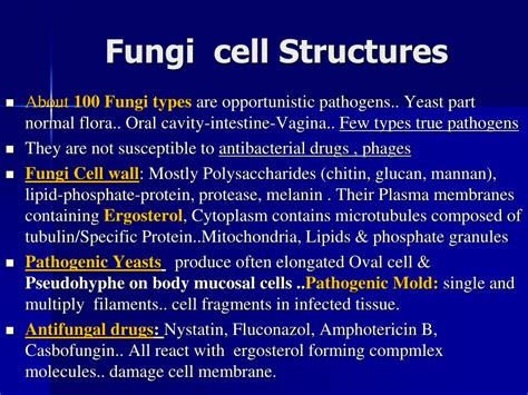 Fungi Cell Structure 的图像结果