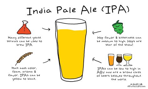 Beer 101- What is an IPA? — Pints and Panels