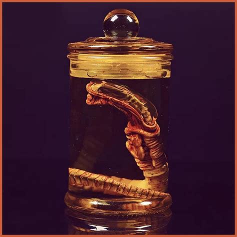 Image result for Alien Facehugger Prank