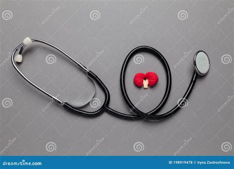 Kidneys of Human on a Grey Background. Pain in the Genitourinary System, Treatment of Kidney ...