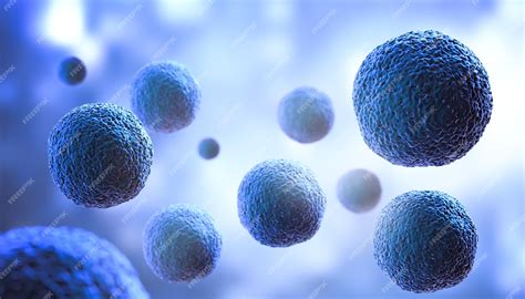 Cell Type 的图像结果