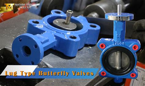 Butterfly Valve Manufacturer news - Tianjin Worlds Valve Co., Ltd.