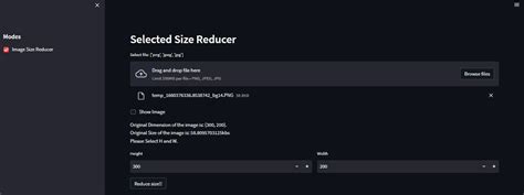 How to Make Image Size Bigger Python 的图像结果