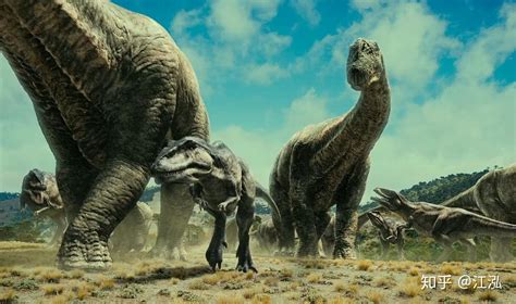 似鳄龙：非洲大型食肉恐龙（长11米/有类似鳄鱼的嘴巴）-小狼观天下