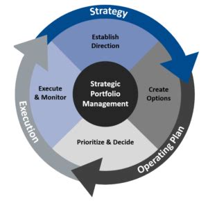 Image result for Project Portfolio Management Basics