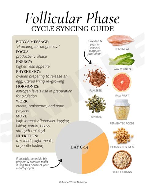 Luteal Phase Guide at Charles Honig blog