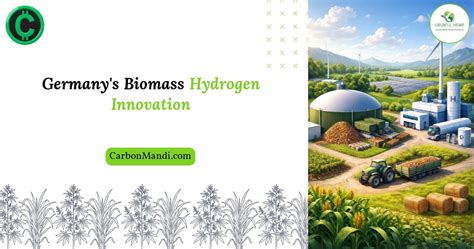 Germany’s Biomass Hydrogen Innovation Explained Simply – Carbon Mandi