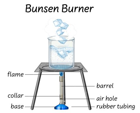Use Of A Bunsen Burner at Dwayne Carson blog