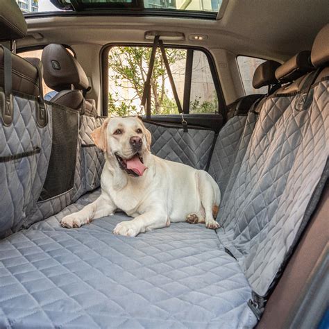 Amazon.com: LUMIDEXA Dog Car Seat Cover Hard Bottom- Back Seat Extender ...