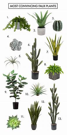 Real Looking Faux Trees by Are You Faux Real How To Find The Most Convincing Faux Real Looking Faux Trees