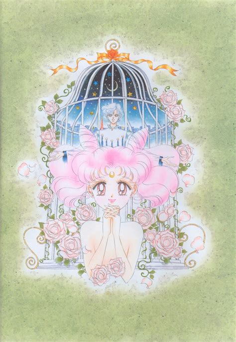 Sailor Moon by Naoko Takeuchi | Sailor mini moon, Sailor moon manga, Sailor moon art