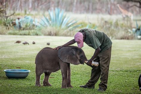 Visit Wild is Life in Harare: An Epic Experience - Ben In Wanderland