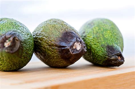 Why Do Avocados Ripen So Fast? How To Slow It Down - Boss The Kitchen