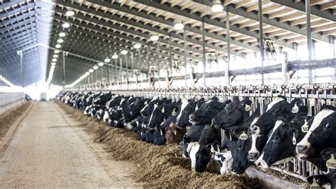 Image result for Agriculture