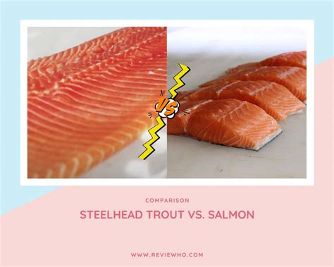 Steelhead Trout Vs. Salmon Nutrition Value | Reviewho