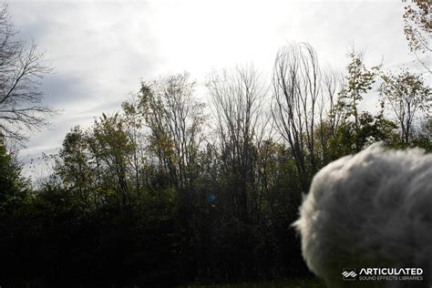 Image result for Cape Rustling Sound Effect