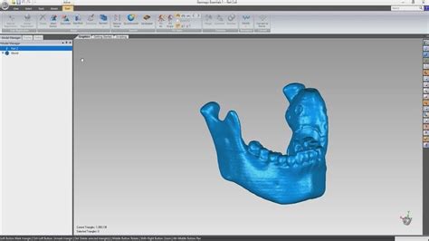Image result for Geomagic Essentials Tutorial
