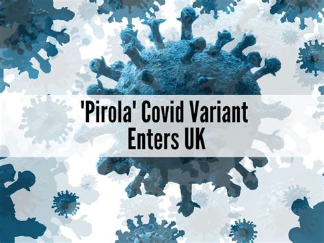Pirola Variant Mutating Rapidly, UK Put On Alert After Country Confirms ...