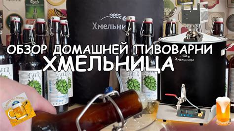 Пивоварня Хмельница: варим пиво дома и пробуем, что получилось! - YouTube