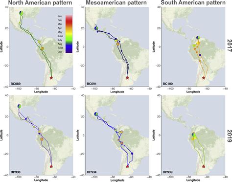 Rapid adjustments of migration and life history in hemisphere-switching cliff swallows: Current ...