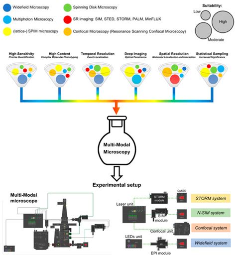 Correlative Multi-Modal Microscopy: A Novel Pipeline for Optimizing ...