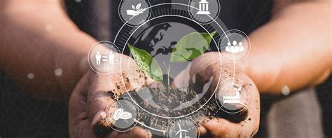 Development Positive | Services | Grant Thornton Bharat