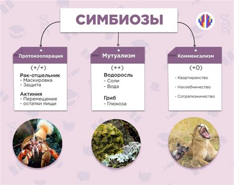 #Био_Актуалочка@bio_darvin #Общая_Биология@bio_darvin СИМБИОЗЫ Симбиоз ...