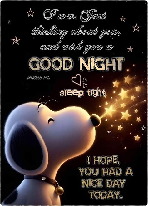 Pin by Pg Rags on Snoopy love | Cute good night quotes, Good night ...