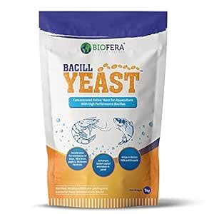 Biofera BACILL Yeast Active Yeast for Aquaculture and Shrimp Farming ...