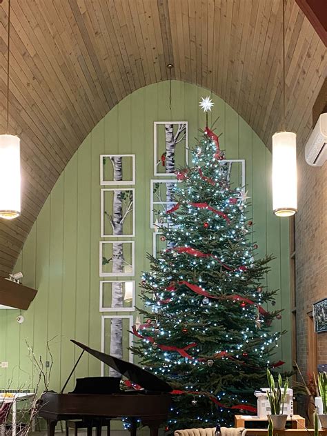 How Kick Ash Coffee Supports NWS - Newport Wilderness Society