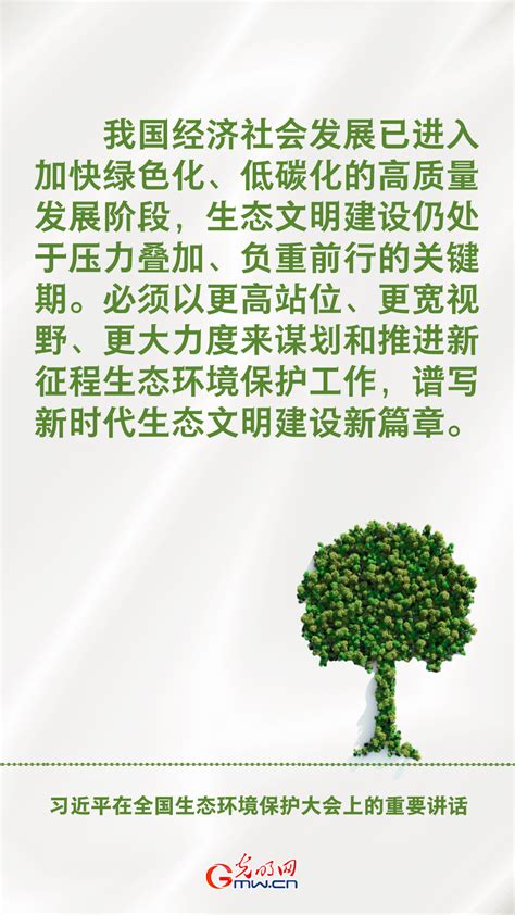 海报丨未来5年如何推进美丽中国建设？习近平总书记指明方向 | 极目新闻