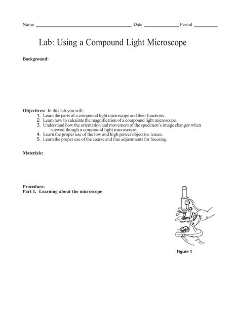 Image result for Microscope Lab Activity