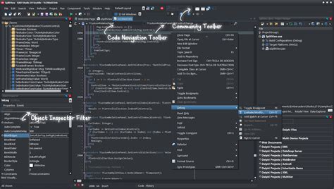 Image result for Delphi IDE Software Installation
