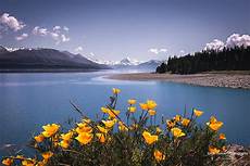 Landscape Picture by 10 Tips To Help With Landscape Photography Canon New Zealand Landscape Picture