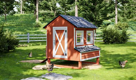 4 Bird Chicken Coop