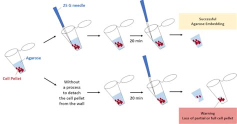 Image result for Static and Dynamic Methods in Python