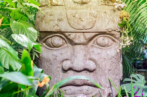 Olmec Medicine Wheel: History Symbolism Uses