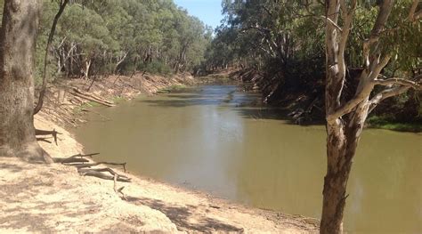 RIVER BEND CARAVAN PARK (Echuca, Victoria) - Campground Reviews, Photos ...