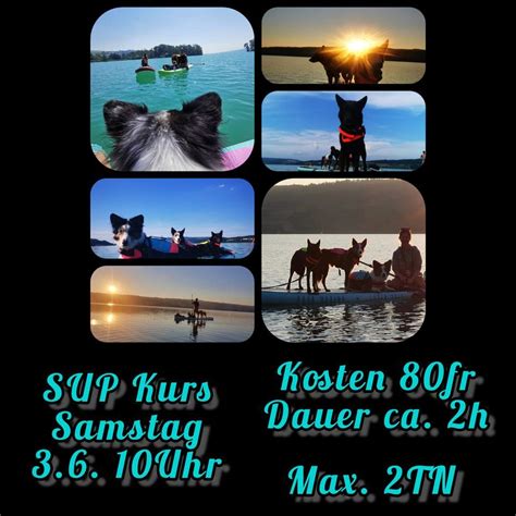 SUP mit Hund, Sursee, 3 June 2023 | AllEvents.in