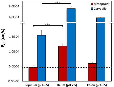 Segmental-Dependent Solubility and Permeability as Key Factors Guiding ...