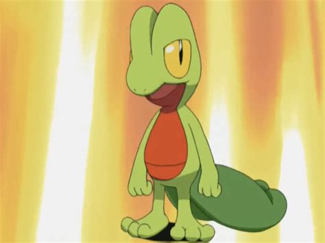 Image result for Treecko Evolution GBA Pokemon