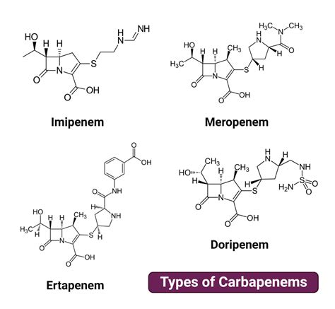 Carbapenems- Definition, Mechanism, Types, Uses