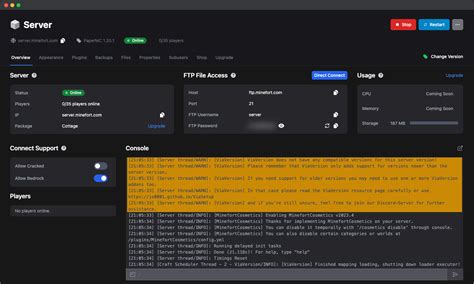 Image result for Minecraft JavaServer Console