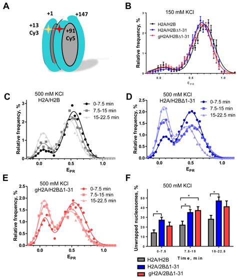 N-Terminal Tails of Histones H2A and H2B Differentially Affect ...