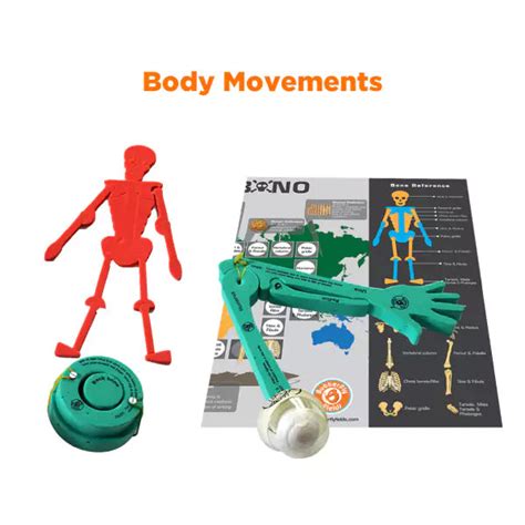 Class 6 NEP-Aligned STEM Classroom Set | 30 Kits (6 Topics x 5 Kits ...