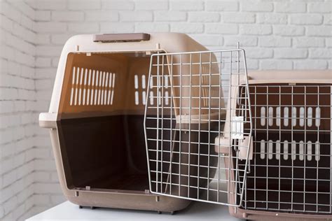 How To Get My Beagle Puppy To Stop Crying In The Crate? - Modern Beagle
